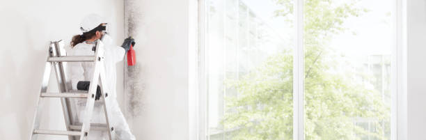 Best Airborne Mold Testing  in White Oak, OH