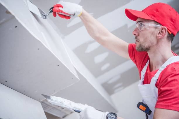 Best Emergency Mold Remediation  in White Oak, OH